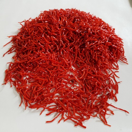 Italienische Natürlich Rote Koralle Branch Mediterrane Meer Edelstein 25 " CT - Bild 6 von 6