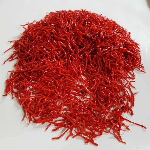 25 CT Natural Raw Italian Red Coral Polish Branch 15-30 mm Sea Coral Rough Stick - Afbeelding 1 van 6