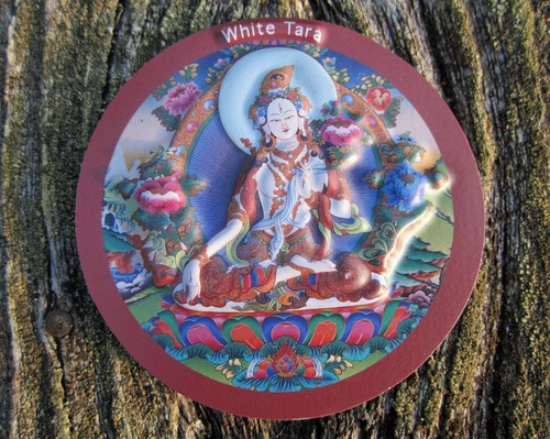 TIBETAN BUDDHIST LUMINOUS HEALING WHITE TARA LONG LIFE REFRIGERATOR FRIG MAGNET - Picture 4 of 5