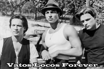 Blood In Blood Out Vatos Locos Movie Sheet Poster 24x36 inch New *Fast Shipping* Blood In Blood Out Vatos Locos Movie Sheet Poster 24x36 inch New *Fast Shipping*