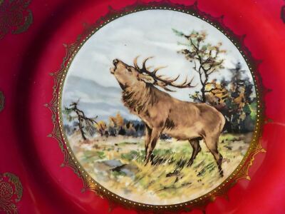 Vintage Beautiful Bull Elk Decorative Plate Bavaria Germany Gold Trim  Inch