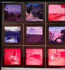 500+ 120 Film Size Slides 1950s-1960s Family Events Travel Men Women Children — photo 6