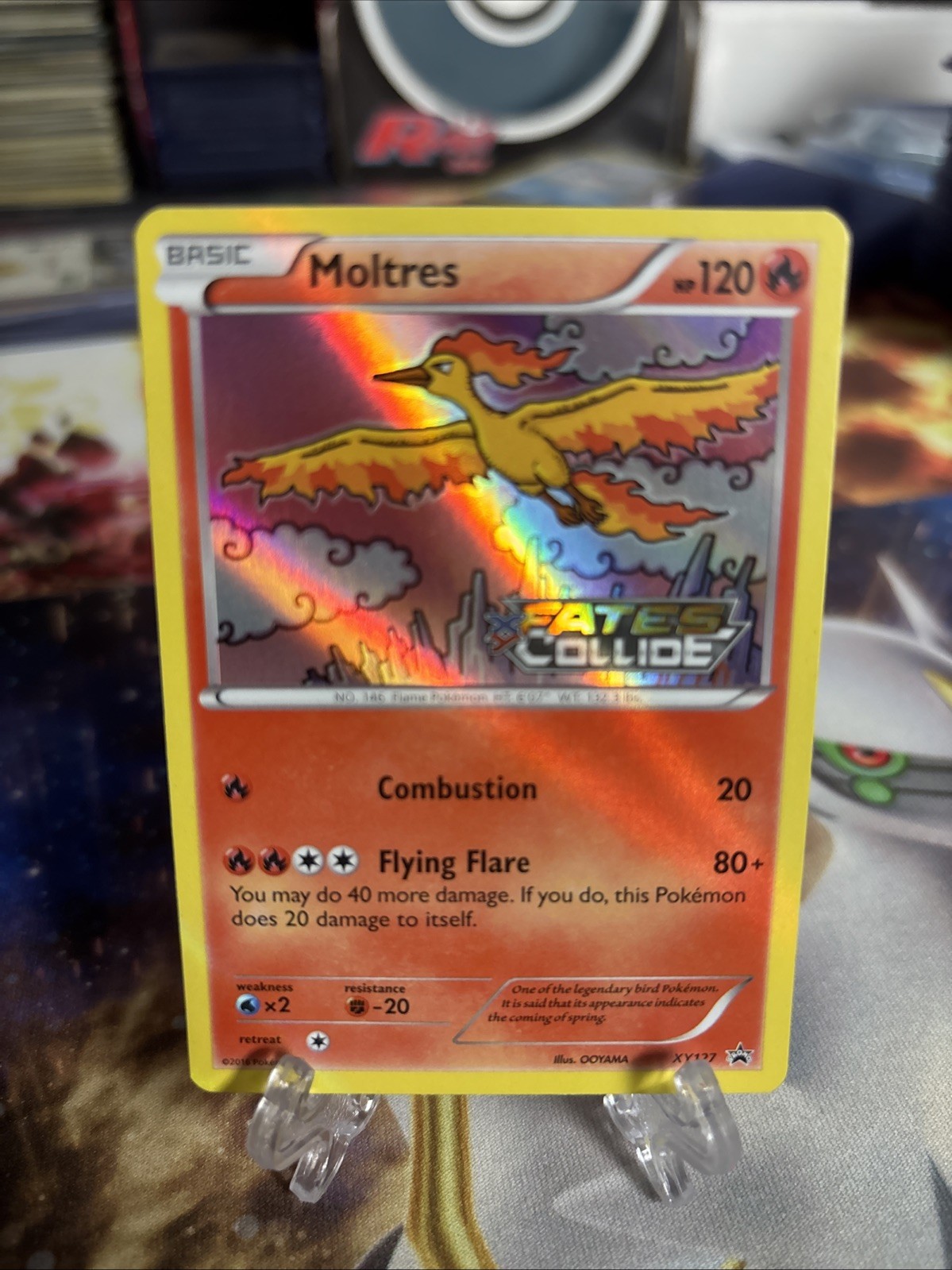 Pokemon Card Moltres XY127 Black Star Promo STAMPED Fates Collide Near Mint Cond