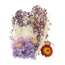 Natural Dried Flower Set, Dried Pressed Flowers Purple 