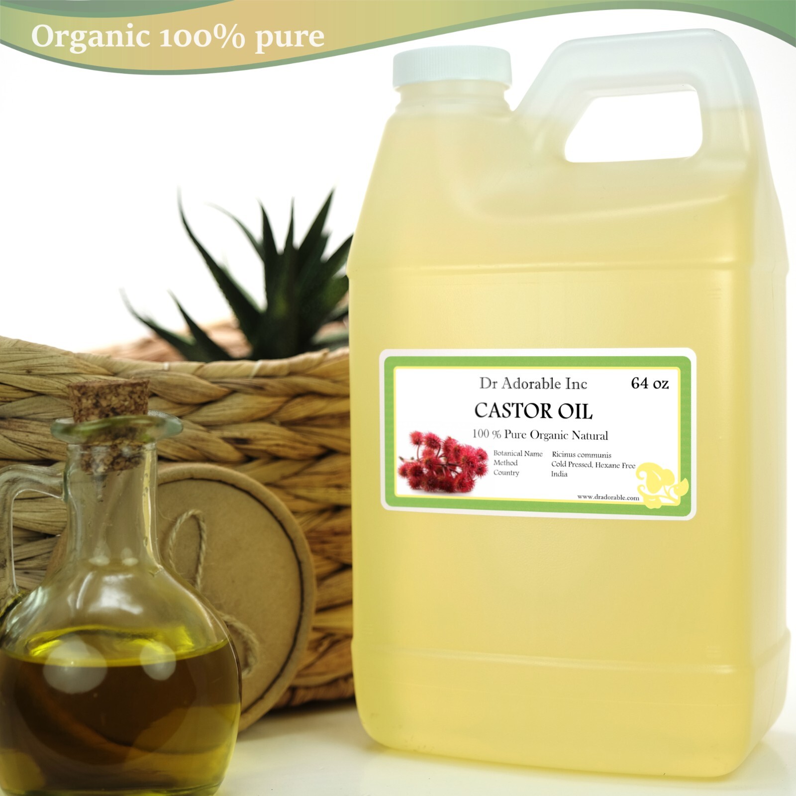 Pure Castor Oil 2 oz 4 oz 8 oz 16 oz up to gallon Free shipping Cold Pressed 