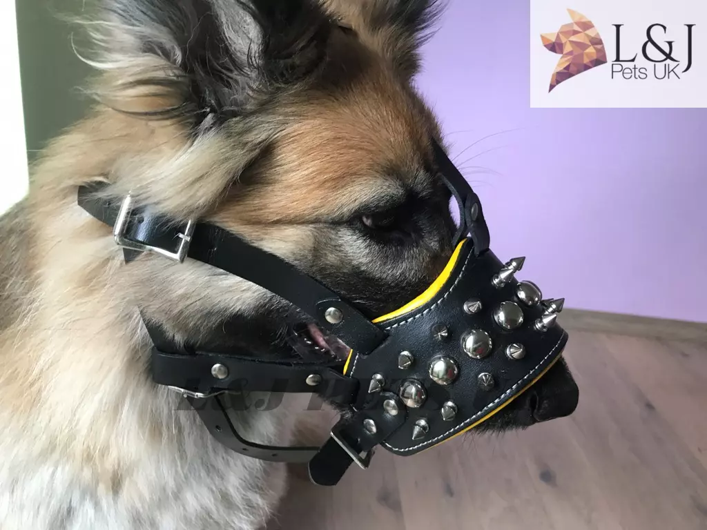 Strong Real Leather Padded Dog Muzzle with Spikes German Shepherd