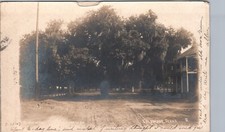 Antiguo roble columbus tx foto real postal rppc historia de texas