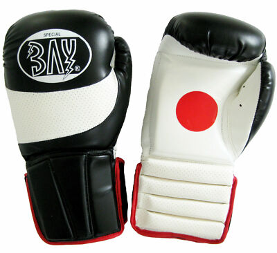 BAY  KOMBI COACH 2in1 Handpratzen Boxhandschuhe Pratzen Muay Thai Thaiboxen MMA