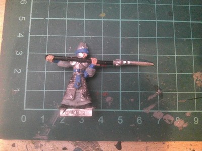 hochelfen Tiranoc Streitwagen Spearman WHFB Citadel basic bemalt 1998
