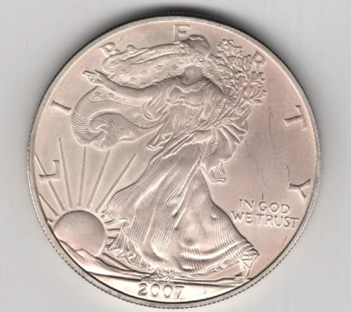 2007 WALKING LIBERTY AMERICAN EAGLE .999 FINE SILVER DOLLAR COIN 1oz. $1 USA