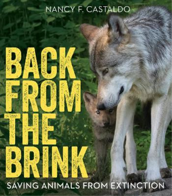 Nancy F Castaldo Back From the Brink (Gebundene Ausgabe) (US IMPORT)