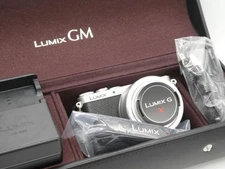 English OK MINT IN CASE LUMIX DMC GM1 16.0MP Digital Camera G 12-32mm Lens JAPAN