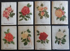 BRITISH ROSES British American Tobacco 1924 SILKS