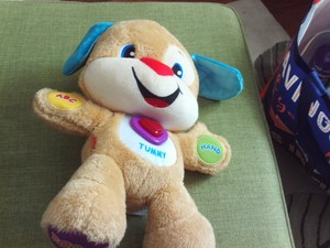 interactive bear for babies