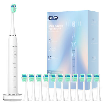 Electric Toothbrush USB Rechargeable Sonic Power Toothbrush with 12 Brush Heads