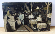 Color Litho 1911 Florida Citrus Packing House Palatka Cochrane Book Store DB