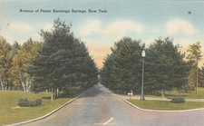 Saratoga Springs New York Avenue of Pines
