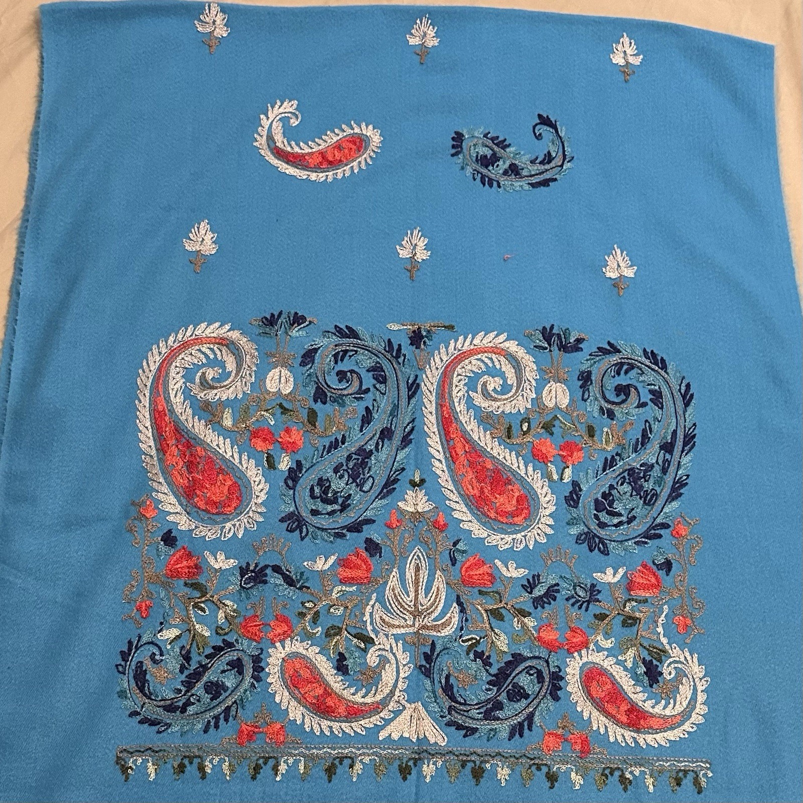 Women’s Unbranded Soft Embroidered Shawl/Scarf with Floral Accents (80” x 28”)