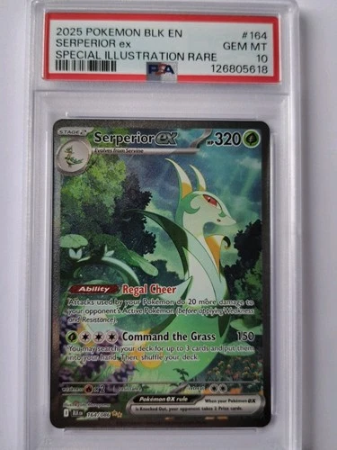 Pokémon TCG Serperior EX 003/086 Black Bolt SIR PSA 10!!!!!