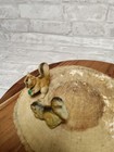 Bild 3 von 8