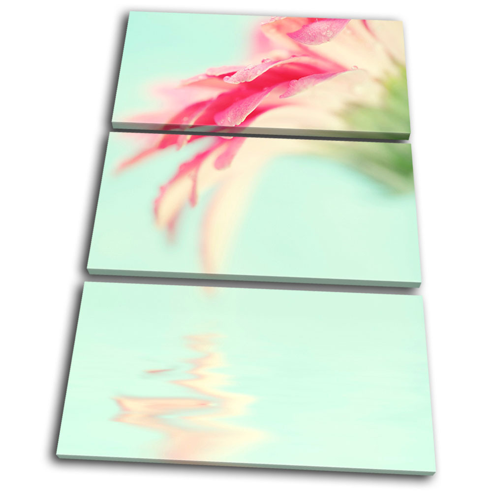 Floral Flowers BOTANICAL TREBLE CANVAS WALL ART Picture Print VA