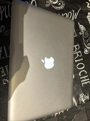 Apple MacBook Pro 13,3 Zoll 16GB RAM 500GB SSD FP Dual Core i5 DVD LW TOP