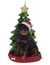Kurt Adler Rottweiler with Christmas Tree  Lights Ornament for Personalization