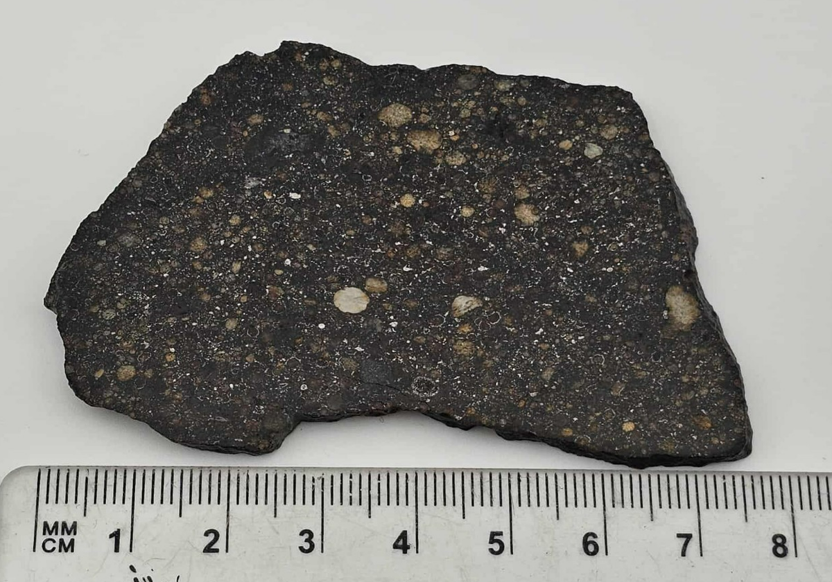 NWA 15662 Ordinary Chondrite LL3 - Polished Meteorite Slice 26.76g