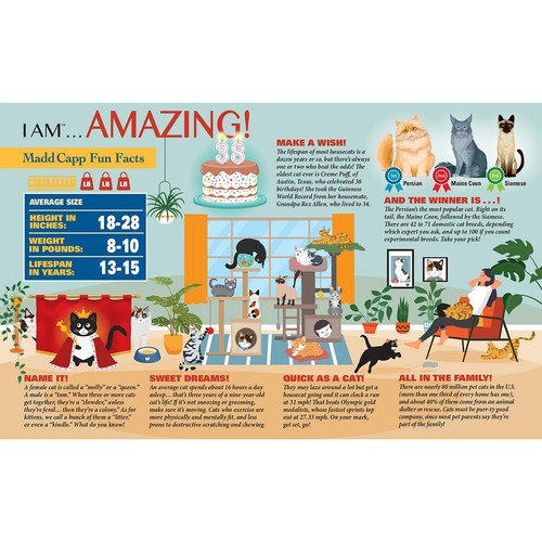 Madd Capp: I Am Cat - 550 Piece Feline Cat Shaped Jigsaw Puzzle - Picture 5 of 9