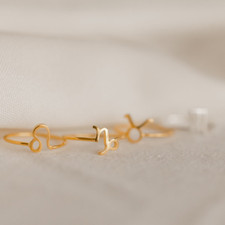 Zodiac Ring Custom Zodiac Jewelry in Sterling Silver  Gold Birthday Gift