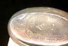 Bild 8 von 11