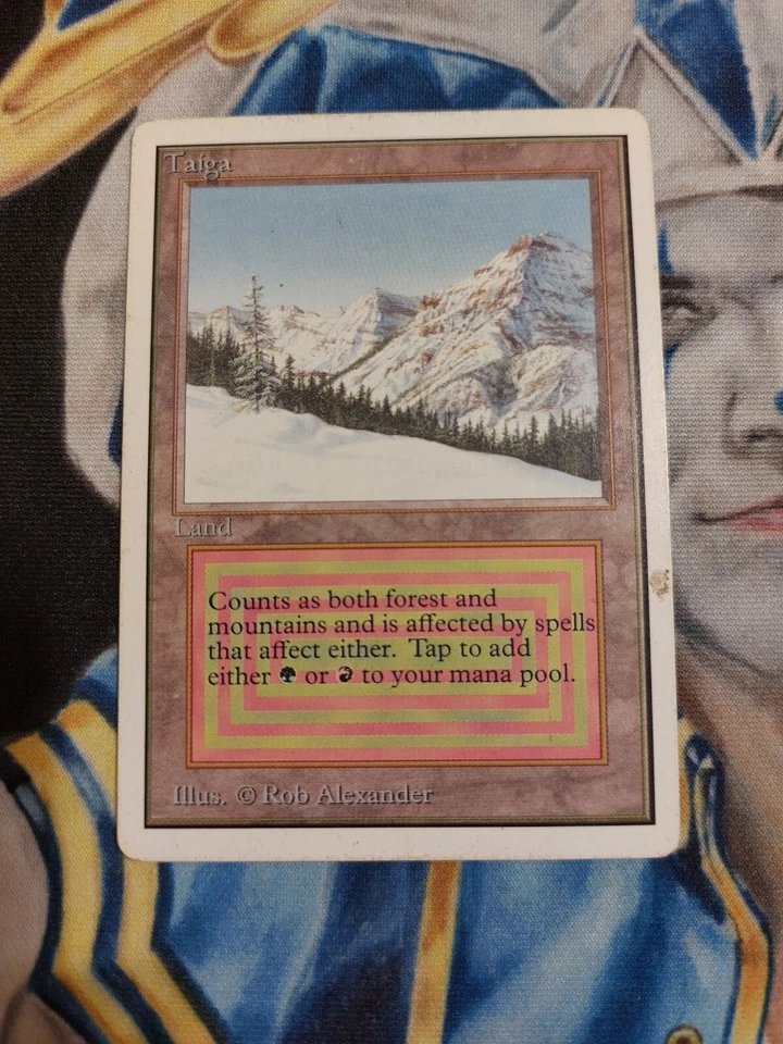 Taiga MTG Unlimited Rare Land Heavily Played x1 GG4 - Image 2 of 4