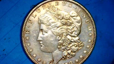 1878 MICRO *s* SILVER MORGAN VAM 59 LOW MINT  -273
