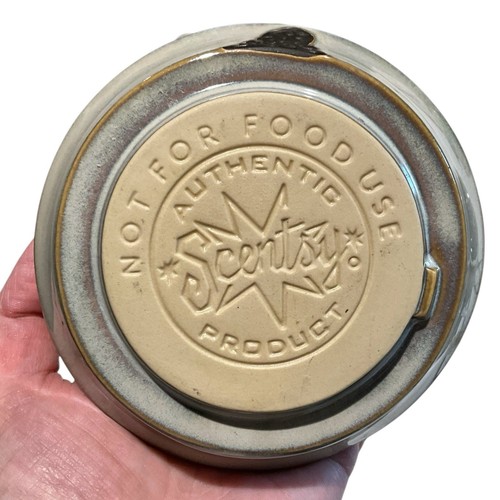 Quemador de cera eléctrico tamaño completo Scentsy Fern con bombilla-FUNCIONA DSW-FERN - Imagen 8 de 9