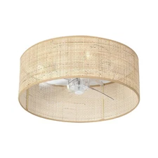 Bamboo Small DC Ceiling Fan with Light Fixture and Remote Control,Boho Enclos...