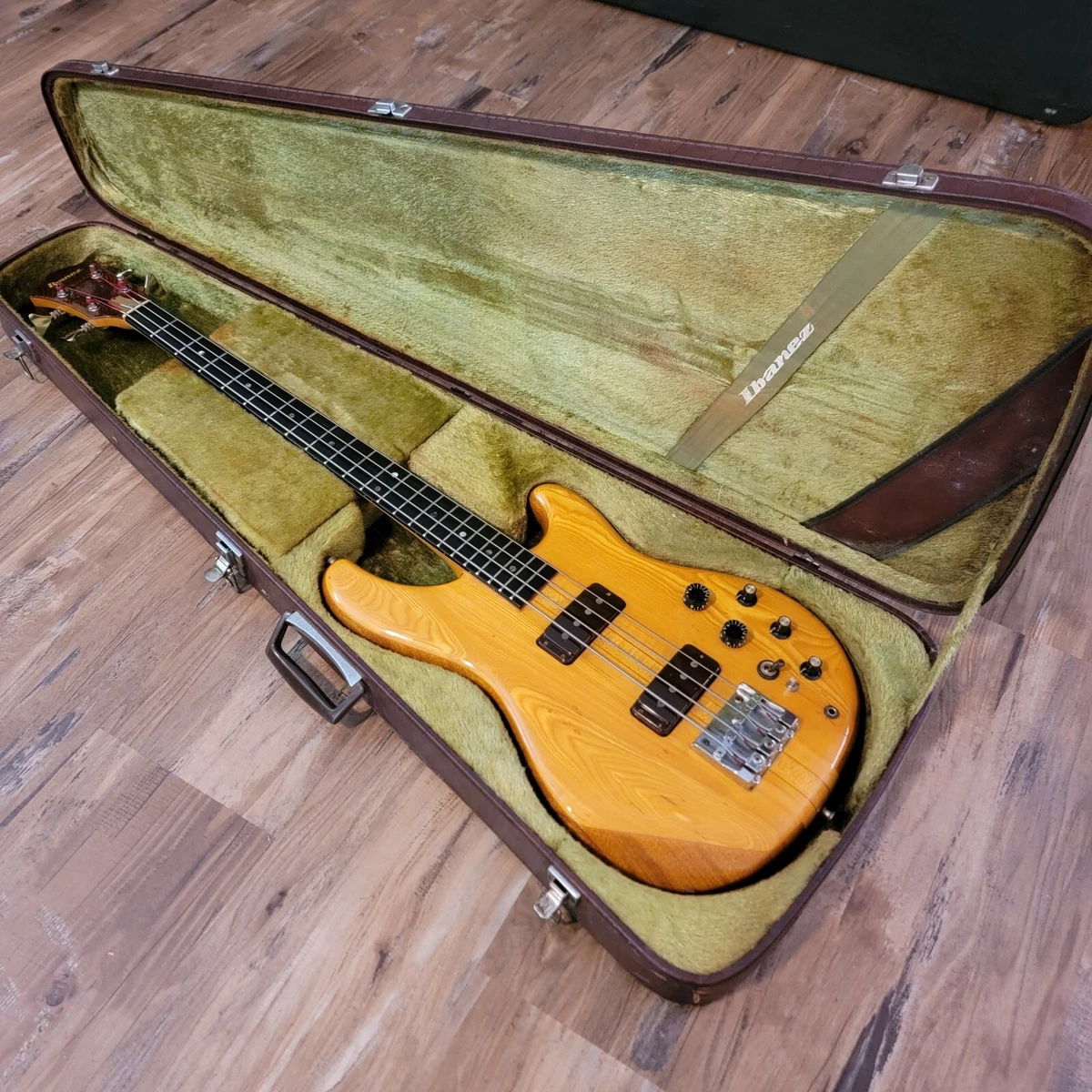 Sting 2024 ibanez bass