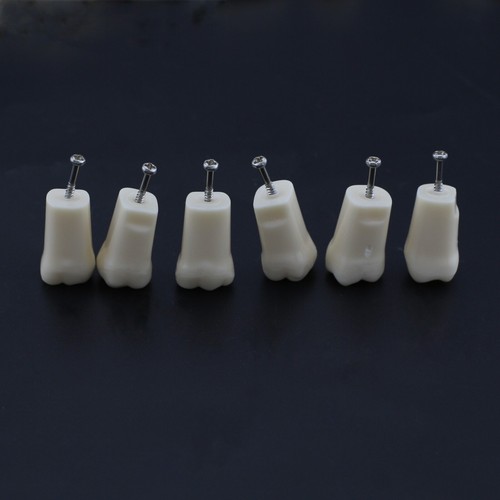 Tipodonte dental Kilgore Nissin 200 modelo 28 piezas poste de montaje dental examen - Imagen 31 de 94