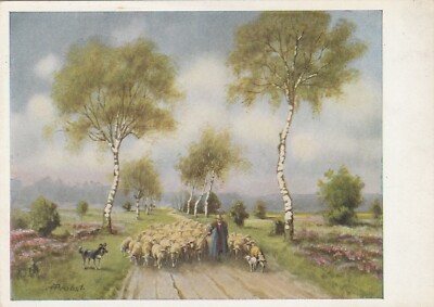 HEIMKEHRENDE SCHAFHERDE von Anna Probst, Kunst - Vintage POSTKARTE