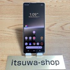 Sony Xperia 1 V Platinum Silver 256GB 12GB RAM Dual SIM Unlocked 1 day shipping