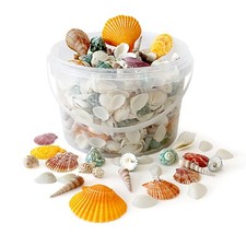 Mixed Seashells Approx. 450pcs, Natural Shells for Arts and Crafts, Decoration
