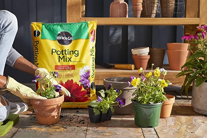 16 Qt. Potting Soil Mix (2-Pack) - 32 Qt. Rare Mix Autumn Garden Seeds  Planting | eBay