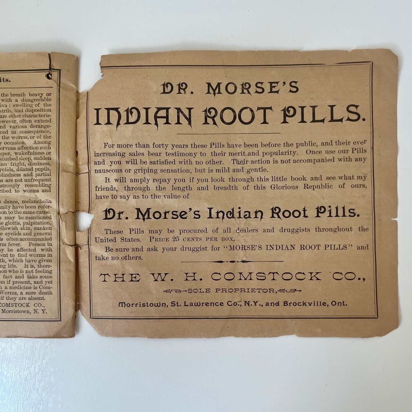 Dr. Morse's Indian Root Pills Cookbook 1890s Patent Medicine Ephemera