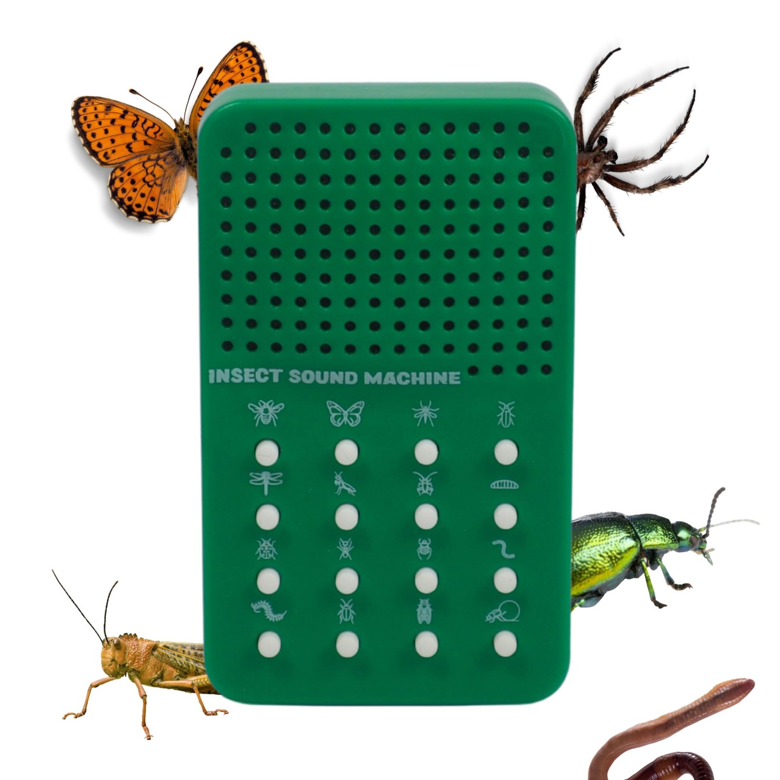 Insect Sound Machine - Noisemaker with 16 Sounds