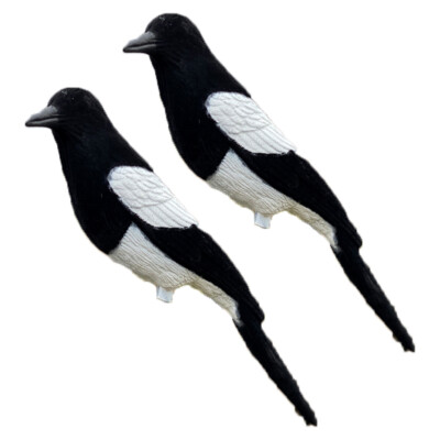 Elster beflockt Ganzkörper x2 Lockvogel ideal zur Verwendung mit Larsenfalle Lockvogel