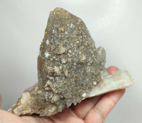 Lote de especímenes de cristales de calcita naturales dientes de perro Baluchistán Pakistán 8 piezas 2,7 kg - Imagen 9 de 9