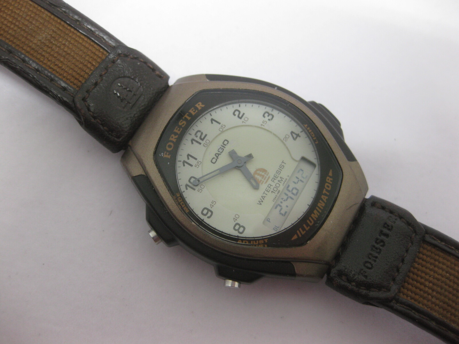 casio forester review