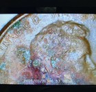 1969 D Lincoln Memorial Error Coin Floating Roof Uncertified — photo 9