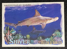 2021 Topps Allen & Ginter Hammerhead Shark Deep Sea Shiver #DSS-6