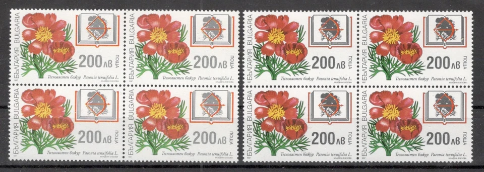 BULGARIA - 2x MNH BLOQUE DE 4 FLORES - ERROR, SELLO DOBLE IMPRESIÓN DE 200 L - 1997 Foto 4 de 4