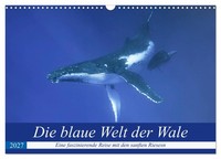 "Calendar 2027 · US Version · The Blue World Of Whales (Wall Calendar 2027 17\" ×"